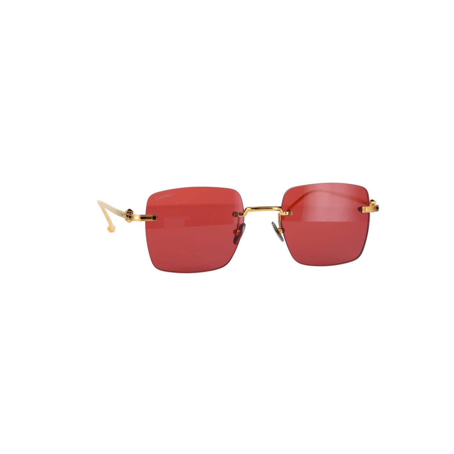 CT0403S Pasha Sunglasses